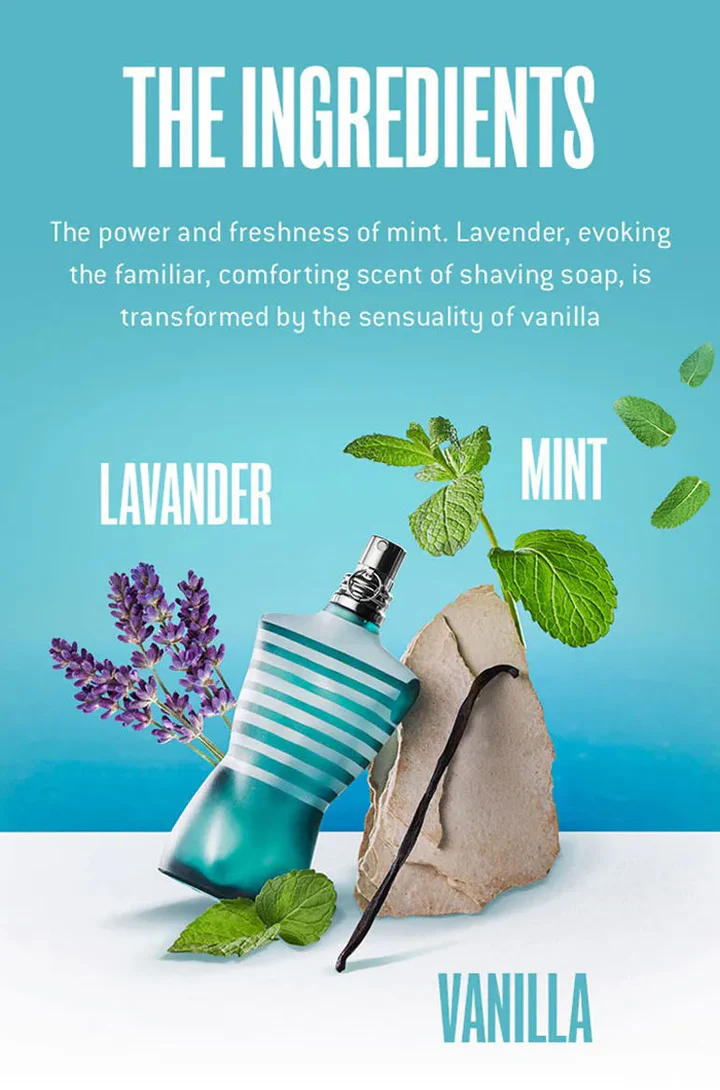 Alpha Absolu hover